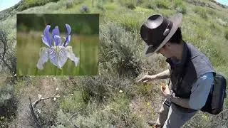 Twin Lakes Part 3 - West Valley Outdoor Learning Center