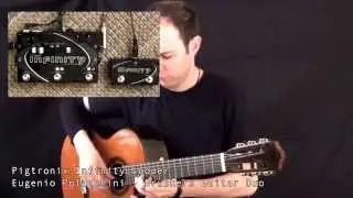 Pigtronix - INFINITY LOOPER - DEMO by Eugenio Polacchini (Bruskers Guitar Duo)
