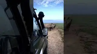Envie d&rsquo;un voyage d&rsquo;exception ? le s&eacute;jour de vos r&ecirc;ves au Kenya 📧 voyagebyck@gmail.com