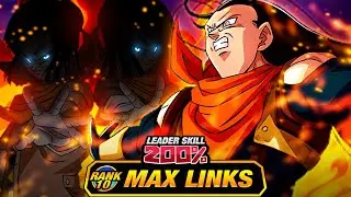 WOW!! INCREDIBLE!!!!! LEVEL 10 LINKS 100% DOKKANFEST STR SUPER 17! (DBZ: Dokkan Battle)