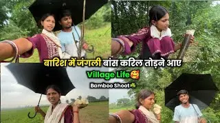 जंगली बांस करिल तोड़ने आए☘️#villagelife गांव कि जिन्दगी 🥰@Sintu Gulabi Vlogs