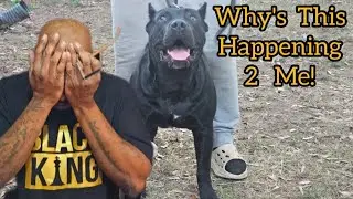 Unfortunately We Can't Breed Onyx 