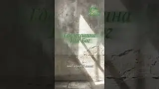 Тихое слово: внимай себе