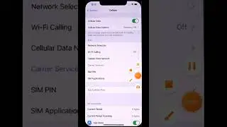 How to enable wifi calling in iphone 13 13 pro,11 pro,12,wifi calling,iphone 13 13 pro