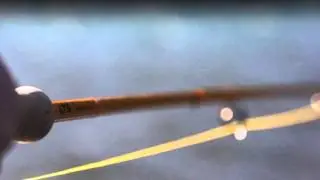 LTS Fly Fishing - Power & Elegance