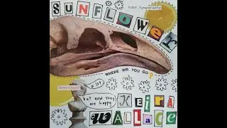 Sunflower - Keira Wallace (official music video)