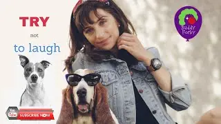 Funniest 🐶 Dogs And 😻Cats - Try Not To Laugh - Buddy Forby Animals' Life