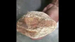 METEORITE COLLECTOR.