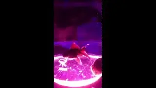 Live Fish Swimming in $3,500 Meduse Design Hookah