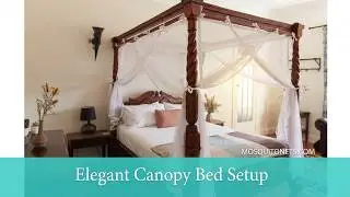 Canopy Bed Curtain on Canopy Bed