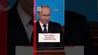 Путин реагирует на то, как Трамп подталкивает НАТО к сближению с Гренландией.