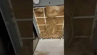 Плесень под микроскопом!