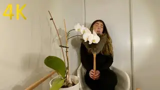 Feathers & Flowers makes me sneeze [4K]