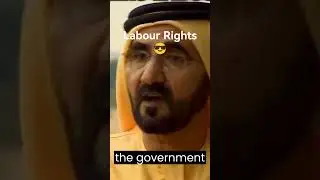 Обсуждаем трудовые права в ОАЭ || Вопросы заработной платы в ОАЭ #dubai #ytshorts #uae #salary #s...
