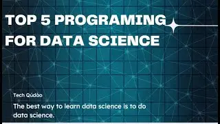 Top 5 Programming Languages For Data Science In 2022