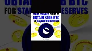 Whale move |The next memecoin king? |Scan a QR code, pay with BTC