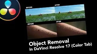 Remove the object in the Color Tab in DaVinci Resolve 17 (Two ways - Power Windows & Magic Mask)