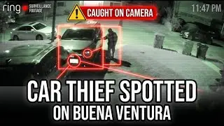 🚨 WARNING! Porch Pirate & Car Thief Spotted on Buena Ventura &ndash; Lock Your Cars!