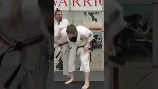 Techniques from Bubishi #takedown #mma #armbar #police #karate