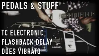 Flashback Delay выполняет модуляцию, часть пятая: VIBRATO | Squier Classic Vibe Custom Tele