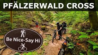 eMTB Urlaub in in der Pfalz - 91% Singletrail Runde