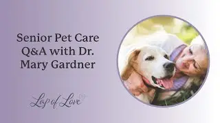 Senior Pet Care Q&A with Dr. Mary Gardner