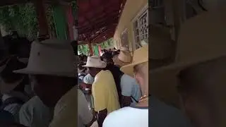 Festa de Reinado em Macaia 