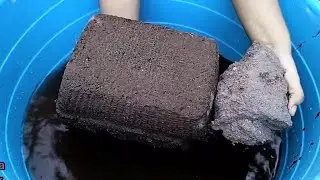 Dusty crunchy Soft Mud crumble dipping in water 💦💦 Dry on paste asmr 