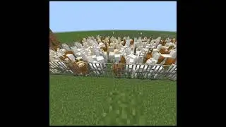 Minecraft Llama War #minecraft #shorts