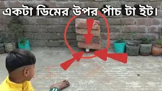 একটি ডিমের উপর পাঁচটি ইট। #challenging video #trendingnow 