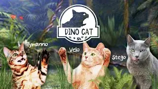 What's the Funniest Cat Channel?ㅣDINO CAT