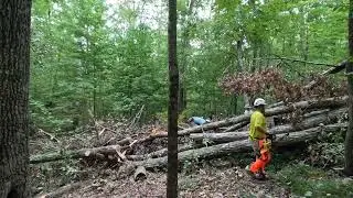 Knobstone trail workday with Hoosier Happy Trails