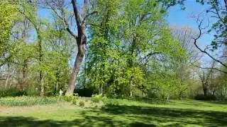 Spring time at Ring Park in W&uuml;rzburg