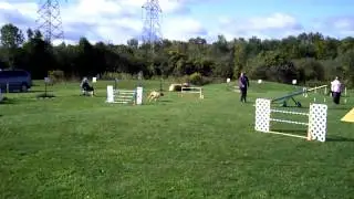 Ellie Starter Standard Q AAC sept 22 2013
