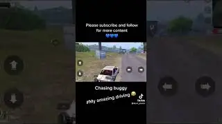 Chasing buggy