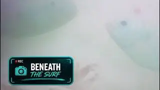I TOSSED a Fishing Camera into the Ocean and saw NON-STOP FISH! Salt Strong Beach Fishing