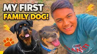My First Family Dog | Comedy Dog | Azad vlogs 