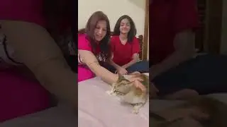 #motherlove #daughter #cat #catlover #mylife #mylove #cator #politician #feelgood #pet #sonaliphogat