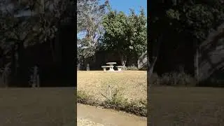 Parque Cercano Los Sauces