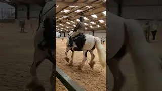 Adventures of Huckleberry Pie - British Working Equitation Ease of Handling (Pickering Grange 2023)