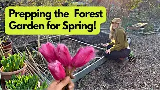 Seed Sowing, Companion Planting Potatoes & Digging my No Dig Plot! | UK Allotment