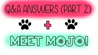 Q&A Answers Part 2 & Meet Mojo!