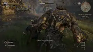 The Witcher 3 - Ciri Missing Ending