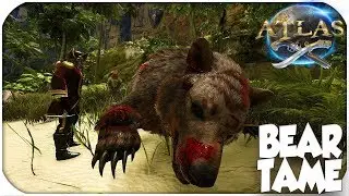 Taming A VICIOUS Bear! Bad Luck Royal! - Atlas - (Pt. 25)