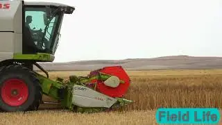 Field Life | Automated Harvesting Solutions for Modern Agriculture