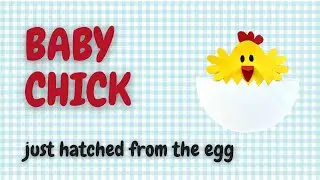 Make a paper baby chick hatching from the egg