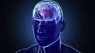 FORTYTWO Corporate Video