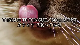 【ヒトカラです】TONGUE TE TONGUE／SOUL'd OUT