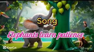 Song: Elephant learns patience,