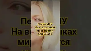 Песня Мяу на всех языках мира поётся одинаково! #мяу #хит #клип #песня #антонаполлонов
